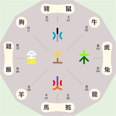 絜五行|樾字的五行属性